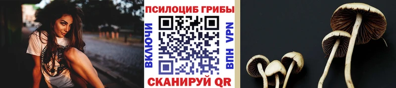 Псилоцибиновые грибы мухоморы  купить наркотик  Тимашёвск 